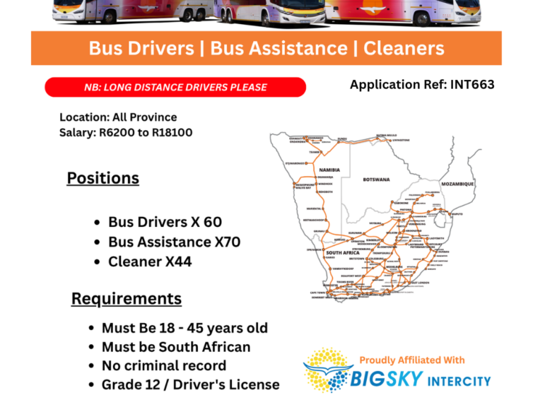 Professional Coach Driver – Long Distance & Bus Cleaners